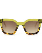 Turtle Shell and Olive Green