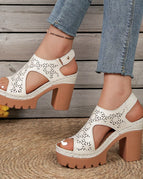 White / 36