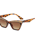 Leopard Print Frame Double Tea
