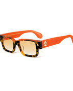 Turtle Shell + Orange