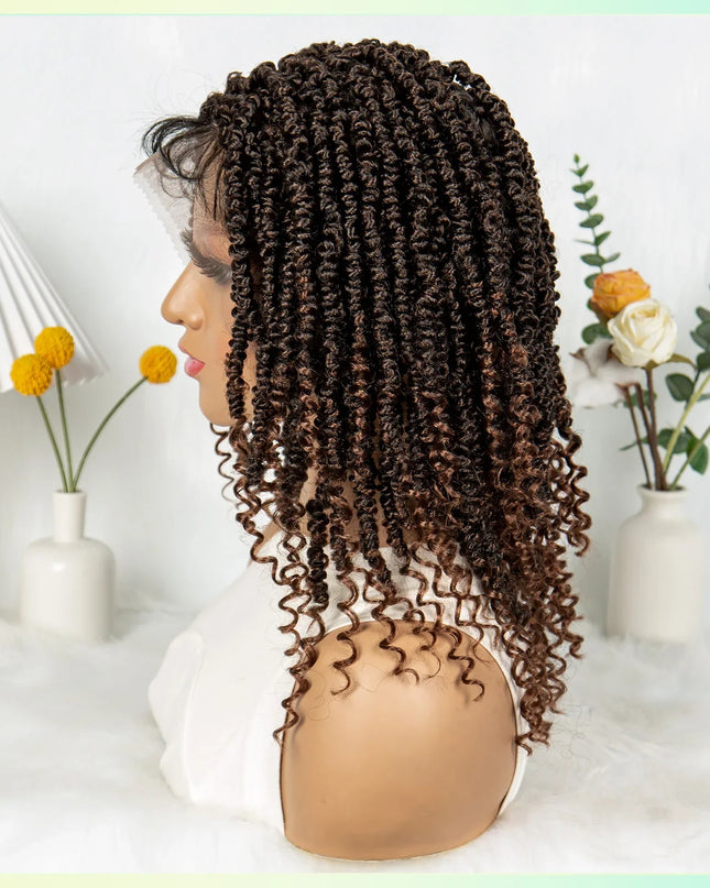 14Inch Full Lace Braided Wigs Synthetic Lace Frontal Twisted Braids Wigs with Baby Hair Knotless Box Braids Wig for Black Women Caethelstore.com