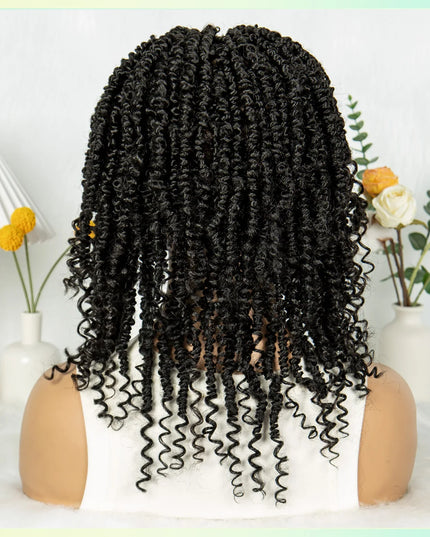 14Inch Full Lace Braided Wigs Synthetic Lace Frontal Twisted Braids Wigs with Baby Hair Knotless Box Braids Wig for Black Women Caethelstore.com