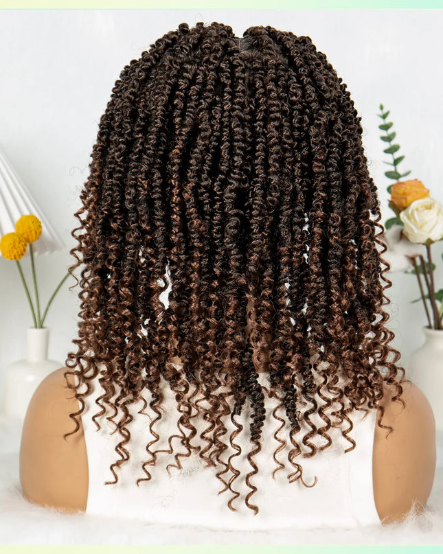 14Inch Full Lace Braided Wigs Synthetic Lace Frontal Twisted Braids Wigs with Baby Hair Knotless Box Braids Wig for Black Women Caethelstore.com