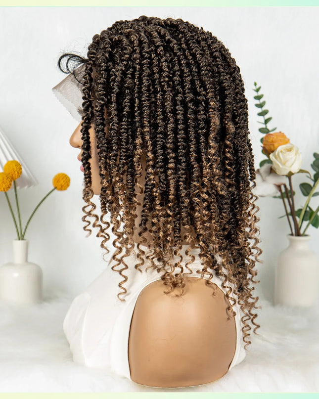 14Inch Full Lace Braided Wigs Synthetic Lace Frontal Twisted Braids Wigs with Baby Hair Knotless Box Braids Wig for Black Women Caethelstore.com