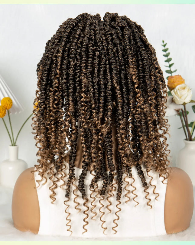 14Inch Full Lace Braided Wigs Synthetic Lace Frontal Twisted Braids Wigs with Baby Hair Knotless Box Braids Wig for Black Women Caethelstore.com